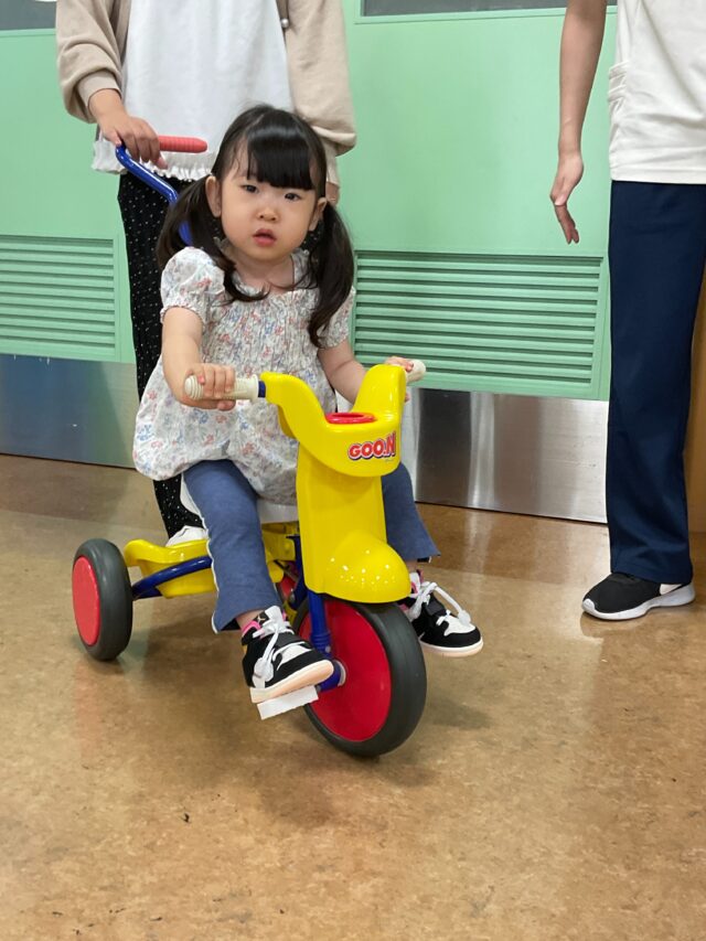 就学前:あそびと発達とADL
9月12日(土)は「移動あそび」でした♪

次回は、10/31(土)「キッズパーク」です♪

#重症心身障害児　#重症心身障害　#障がい児　#障害児　#肢体不自由児　#医療的ケア児　#早産児　#低出生体重児　#脳性まひ　#脳性麻痺　#脳室周囲白質軟化症　#PVL 　#低酸素性虚血性脳症　#筋ジストロフィー　#筋疾患　#骨系統疾患　#神経筋疾患　#遺伝子疾患　#脊髄性筋萎縮症　#小児リハビリ　#小児リハ　#障害児リハビリ　#大阪府　#四天王寺和らぎ苑　#富田林市　#重症心身障害児施設　#児童発達支援